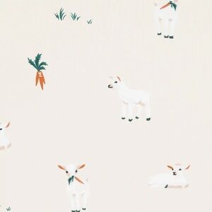 Looking for: Kyte "goat" print baby blanket🐐